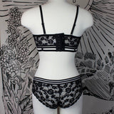 BLACK DAHLIA - Panty