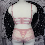 POCKET OF POSIES - Plus Hipster Panty